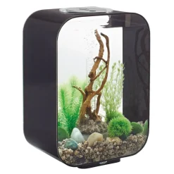 Oase aquarium décoratif 15l avec cadre noir - life 15 mcr black