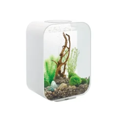Oase aquarium 15l led contours blanc - life 15 led white