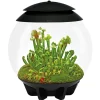 Oase terrarium automatisé noir - air 30 black