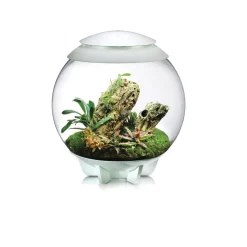 Oase terrarium décoratif 60l avec cadre blanc - air 60 white