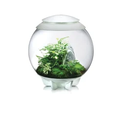 Oase terrarium décoratif 60l avec cadre blanc - air 60 white