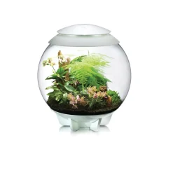 Oase terrarium décoratif 60l avec cadre blanc - air 60 white