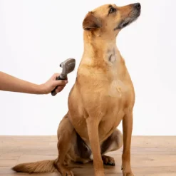 PARIS PRIX - Brosse de toilettage