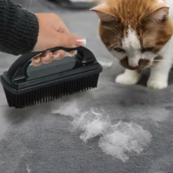 PARIS PRIX - Brosse ramasse-poils "antistatique" 15cm noir