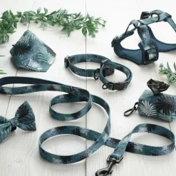 PARIS PRIX - Collier pour chien réglable "eden" 35cm bleu