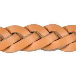 PARIS PRIX - Collier pour chien réglable