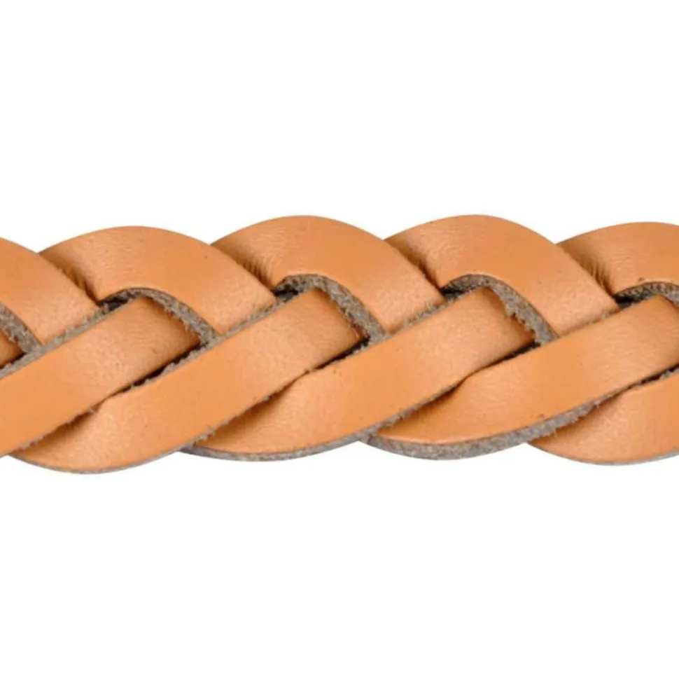 PARIS PRIX - Collier pour chien réglable "tressé" 30-45cm naturel