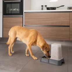 PARIS PRIX - Distributeur d'eau & croquettes "chat" 3,5l gris