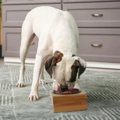 PARIS PRIX - Gamelle en céramique