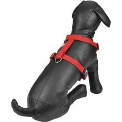 PARIS PRIX - Harnais pour chien "essentiel" 70cm rouge