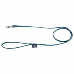 PARIS PRIX - Laisse fine pour chien "essentiel" 120cm émeraude