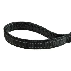 PARIS PRIX - Laisse lumineuse pour chien 