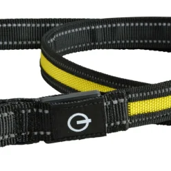 PARIS PRIX - Laisse lumineuse pour chien 