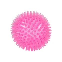 PARIS PRIX - Lot de 2 jouets pour chien "balle & os" 13cm rose