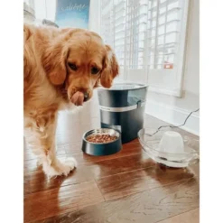 PETSAFE - - distributeur de croquettes automatique connecté smart feed pour chien/chat, avec minuterie, bol en acier inoxydable,