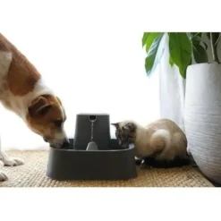 PETSAFE - - fontaine drinkwell 7,5 litres pour grandes races de chiens/plusieurs animaux de compagnie, facile a nettoyer et