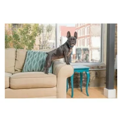 PETSAFE - Collier anti-aboiement rouge 71 cm 6065