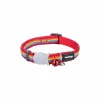RED DINGO - Collier pour chat red dingo rainbow 20-32 cm multicouleur