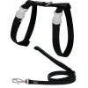 RED DINGO - Ensemble harnais et laisse red dingo chats basic noir