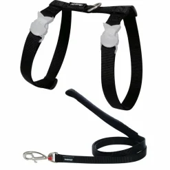 RED DINGO - Ensemble harnais et laisse red dingo chats basic noir