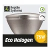 REPTILE SYSTEMS - Kit Lampe eco halogène blanche pour terrarium 75W