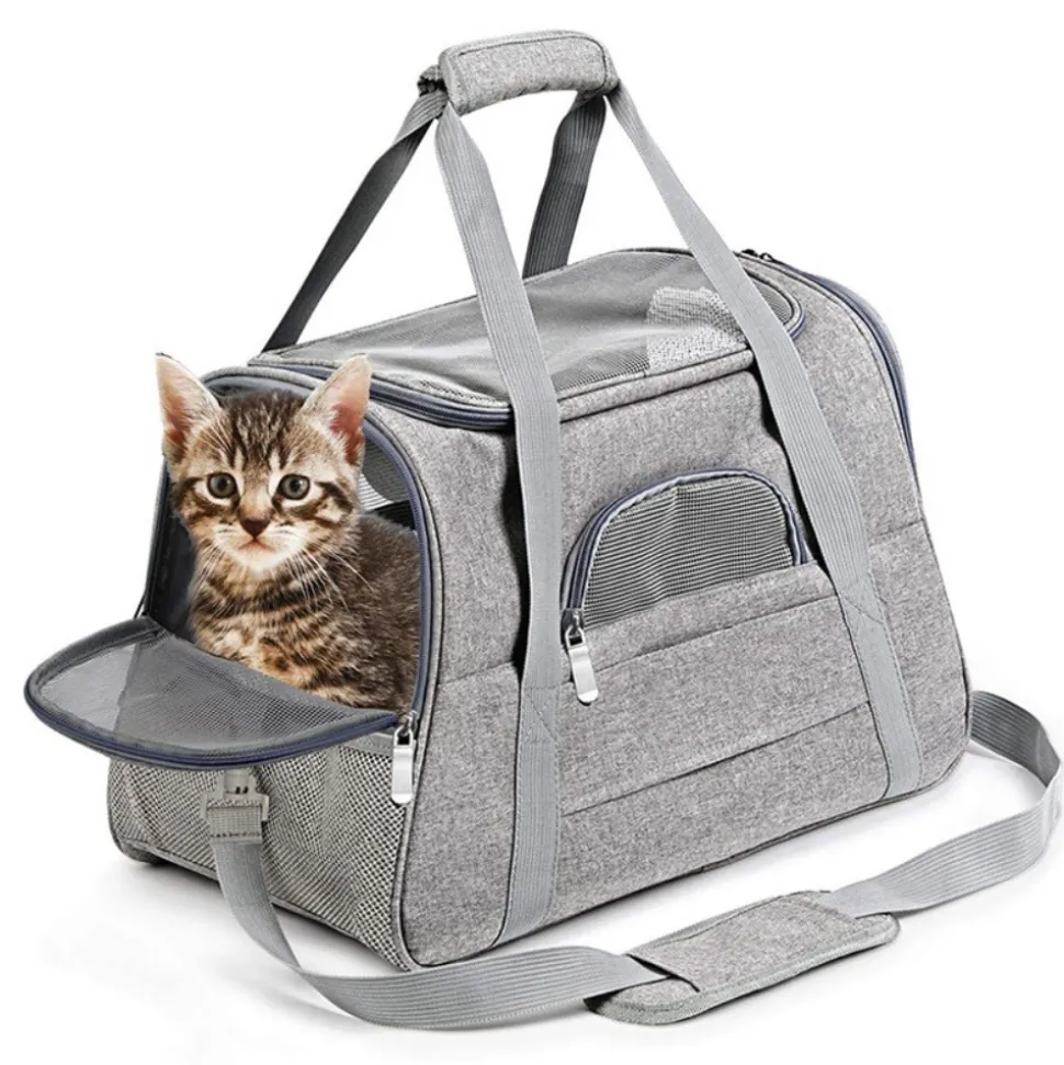 Sac à dos de chat portable et respirant pour sorties petit downypaws