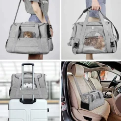 Sac à dos de chat portable et respirant pour sorties noir grand downypaws