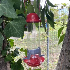 Silo à graines pour oiseaux