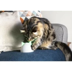 SUREFLAP - Sure petcare hub - blanc - compatible avec les produits connect sure petcare (mémorisation d'un maximum de 10 produits connect)