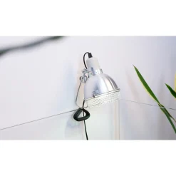 TERRATLANTIS - Kit Tortoise pour tortue terrestre juvénile L.80 x l.45 x H.40 cm