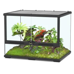 TERRATLANTIS - Terrarium pour reptiles et amphibiens en verre noir - L.60 cm