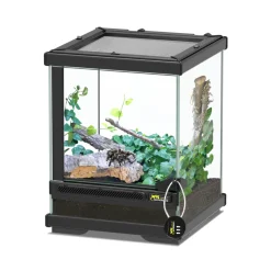 TERRATLANTIS - Terrarium Smart Line Noir L.23xP.23xH.30cm