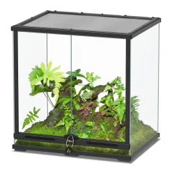 TERRATLANTIS - Terrarium Smart Line Noir L.60xP.45xH.60cm