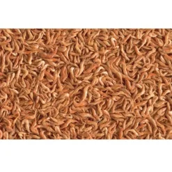 TETRA - Crevettes séchés 250ml/20g reptodelica pour les tortues d'eau