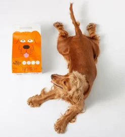 TOMOJO - Croquettes aux insectes sans céréales pour chien 12kg