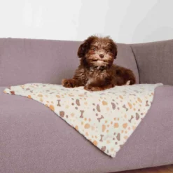 TRIXIE - Couverture lingo