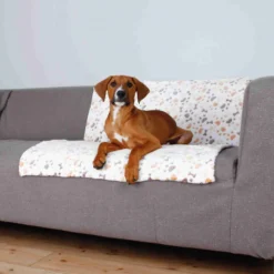 TRIXIE - Couverture lingo