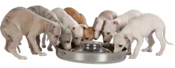 TRIXIE - Écuelle pour chiots, ø 38 cm, 4 litres, pour chien