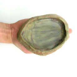 TRIXIE - Ecuelle pour eau et nourriture pour reptile 15 × 12 cm h 3.5 cm