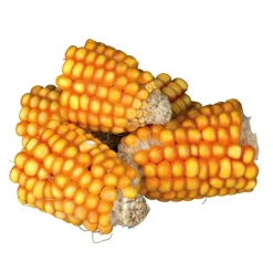 TRIXIE - Friandise morceaux d'epis de maïs - 300 g