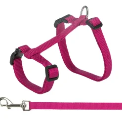 TRIXIE - Harnais xxl avec laisse pour grand chats couleur aléatoire