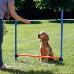 TRIXIE - Obstacle de saut 123x115 cm plastique