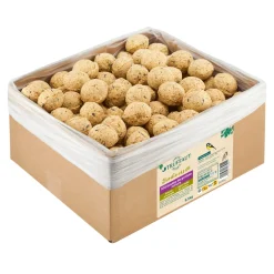 TRUFFAUT BIODIVERSITÉ - Boules de graisse pour oiseaux du jardin - Lot de 100 - 8,5 kg