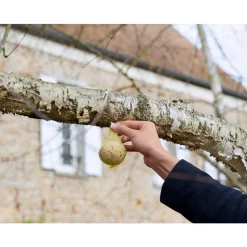 TRUFFAUT BIODIVERSITÉ - Boules de graisse pour oiseaux du jardin - Lot de 60 - 5,4 kg