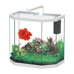 TRUFFY - Aquarium OSMOS LED équipé blanc 38 litres - L.40,1xP.24,6xH.38,4cm