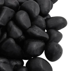 VIDAXL - Galets polis 10 kg noir 2-5 cm