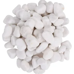 VIDAXL - Galets polis 10 kg blanc 2-5 cm