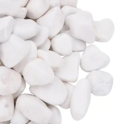 VIDAXL - Galets polis 10 kg blanc 2-5 cm