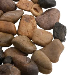 VIDAXL - Galets polis 10 kg multicolores 2-5 cm