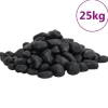 VIDAXL - Galets polis 25 kg noir 2-5 cm